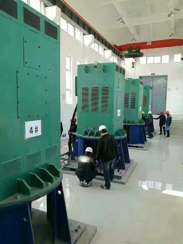 岳阳某污水处理厂使用我厂的立式高压电机安装现场